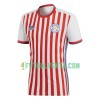 Camiseta de fútbol Paraguay 1ª equipación 2018